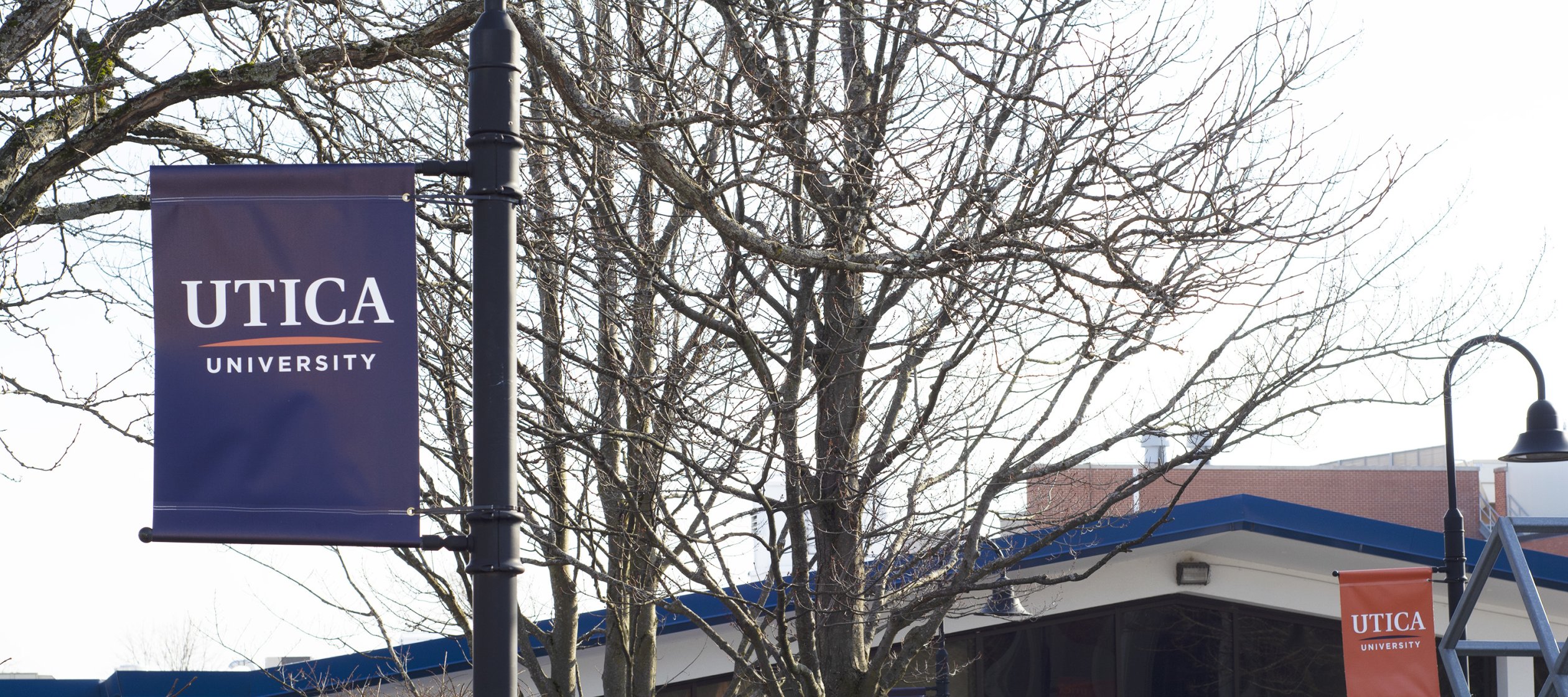 Faculty Senate Utica University